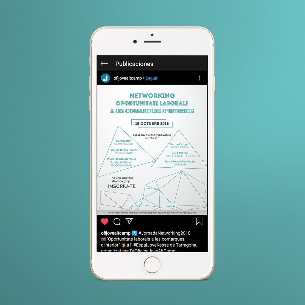 Networking-Oportunitats-laborals-comarques-interior